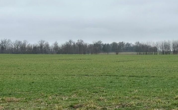Pictures of Land, Special Purpose property located at S 800 Road, Moundville, MO 64771 for sales - image #1