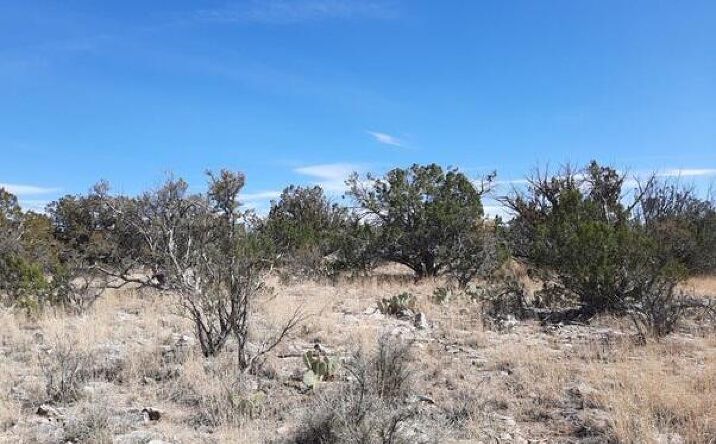 Pictures of Land, Multifamily property located at 29118 W Stagecoach Lane, Seligman, AZ 86337 for sales - image #1