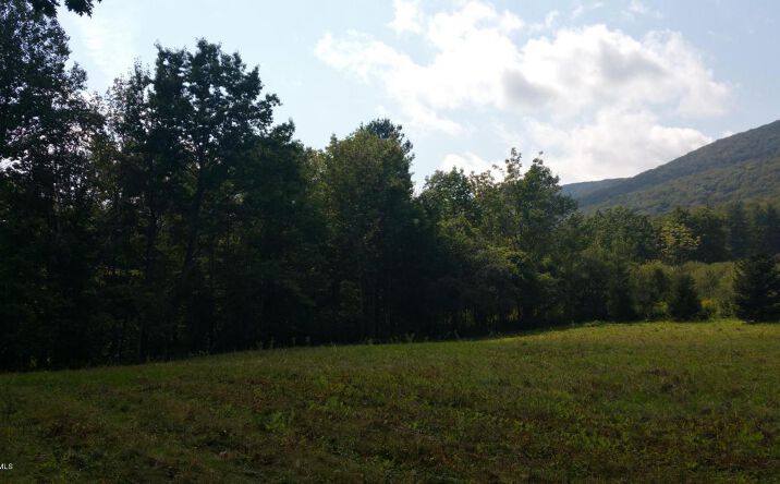 Pictures of Land property located at Reservoir Rd, North Adams, MA 01247 for sales - image #1