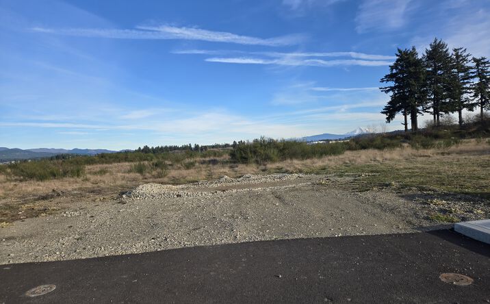 Pictures of Industrial, Land property located at 805 NE 172nd Ave, Vancouver, WA 98684, 809 NE 172nd Ave, Vancouver, WA 98684 for sales - image #1