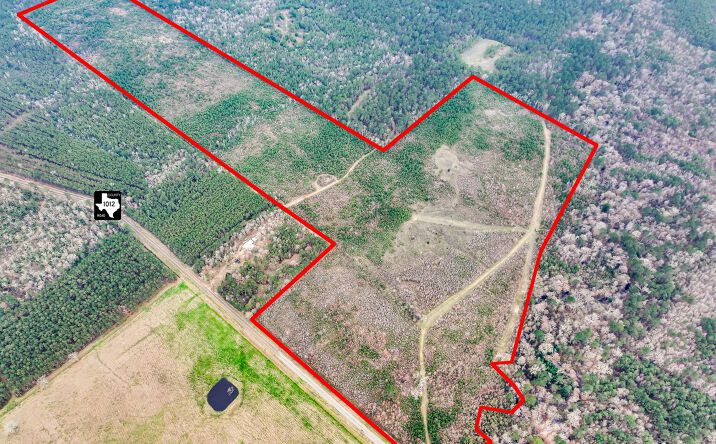 Pictures of Land property located at FM 1012 N, Newton, TX 75966 for sales - image #1
