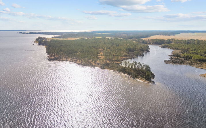 Pictures of Land property located at Norfleet Shores Rd, Belhaven, NC 27810 for sales - image #1
