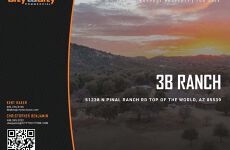 30074744