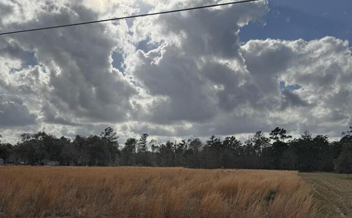 Pictures of Land property located at Choupique Road, Sulphur, LA 70665 for sales - image #1