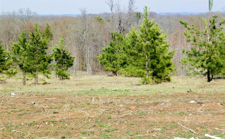 Pictures of Land property located at E Washington Street Lot A, Idabel, OK 74745 for sales - image #1