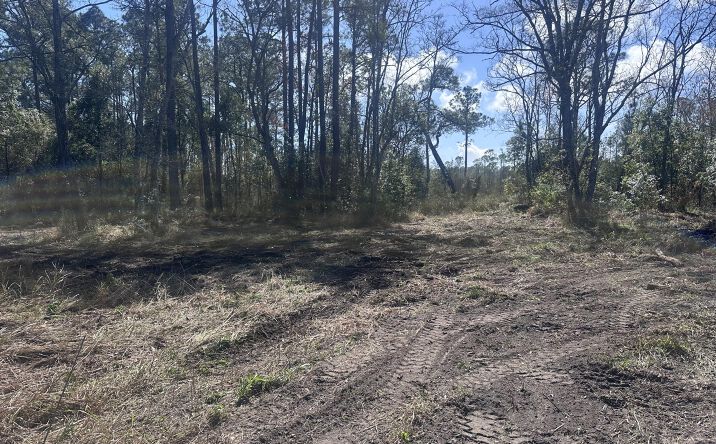Pictures of Land property located at Orange Grove Road, Moss Point, MS 39562 for sales - image #1