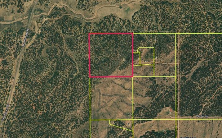 Pictures of Land property located at Panther Road, Vanderwagen, NM 87305 for sales - image #1
