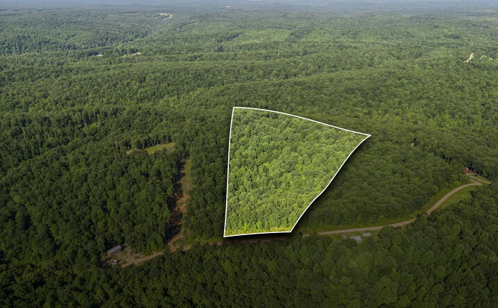 Pictures of Land property located at 220 Ellies Run, Mount Pleasant, TN 38474 for sales - image #1