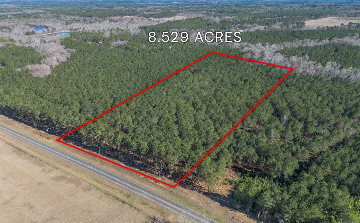 Pictures of Land property located at Ben Giddens Rd, Eastman, GA 31023 for sales - image #1