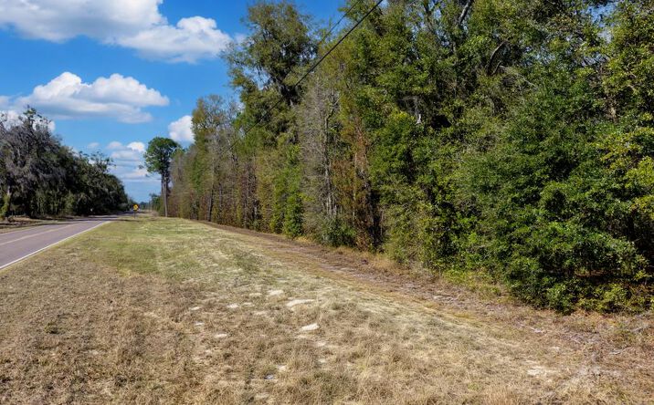 Pictures of Land property located at NE County Road 339, Trenton, FL 32693 for sales - image #1
