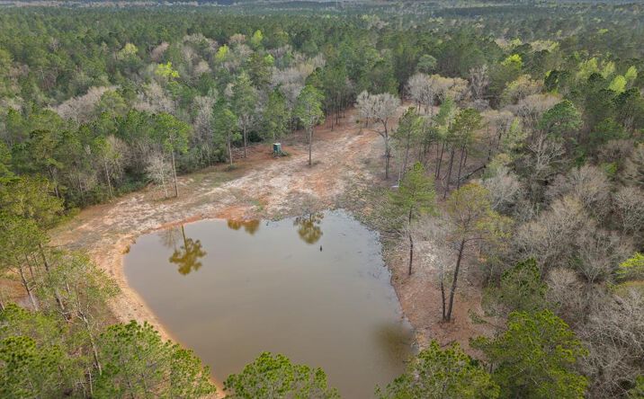 Pictures of Land property located at NHN Antler Ridge Lot B, Poplarville, MS 39470 for sales - image #1