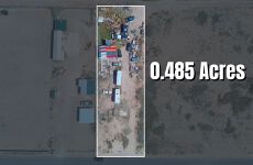30087441