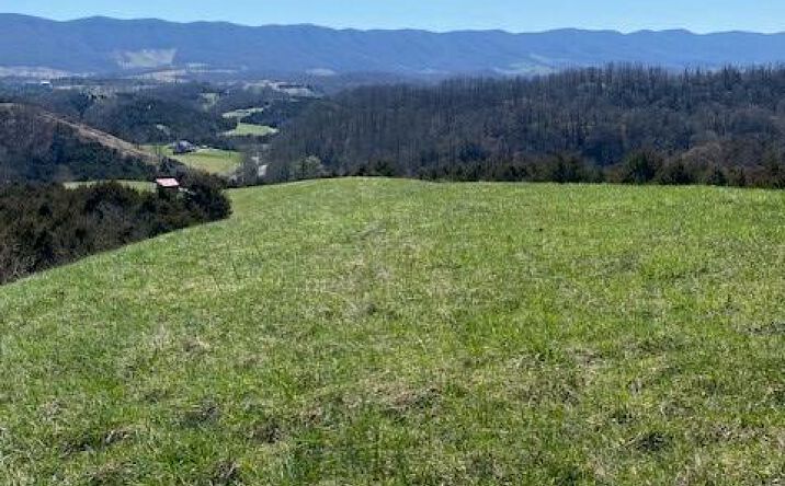 Pictures of Land, Multifamily property located at Rt 770, Cedar Bluff, VA 24609 for sales - image #1