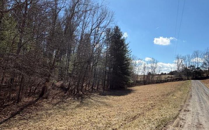 Pictures of Land, Multifamily property located at Lot 8 Walton Furnace Road, Max Meadows, VA 24360 for sales - image #1