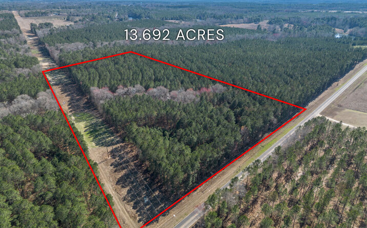 Pictures of Land property located at Ben Giddens Rd, Eastman, GA 31023 for sales - image #1