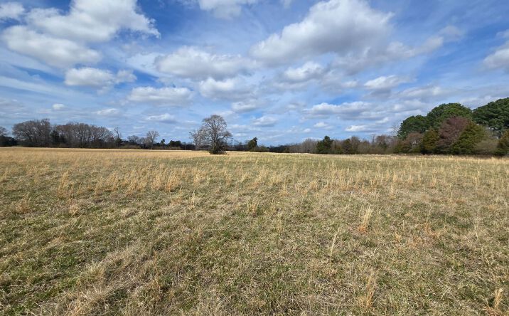 Pictures of Land, Business for Sale property located at 000 Caney Creek, Conway, AR 72032 for sales - image #1