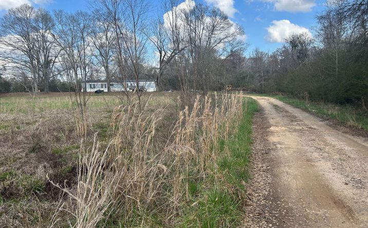 Pictures of Land property located at 0 US HWY 331, LUVERNE, AL 36049 for sales - image #1
