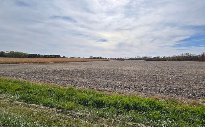 Pictures of Land property located at Georgia & 173rd, Lowell, IN 46356 for sales - image #1