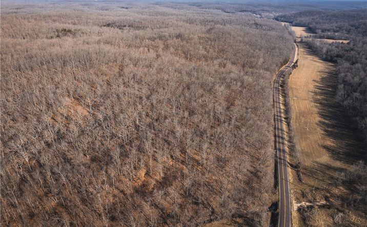 Pictures of Land property located at TBD 46.53ac Highway J, Versailles, MO 65084 for sales - image #1