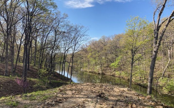 Pictures of Land property located at 15205 N Siemer Road, Effingham, IL 62401 for sales - image #1