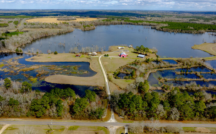 Pictures of Land property located at 2625 Hartford Lake Rd, Hartford, AL 36344 for sales - image #1