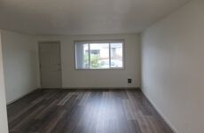 30104116