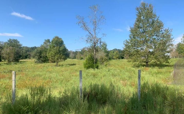 Pictures of Land property located at 9790 NW 9th Ct, Branford, FL 32008 for sales - image #1