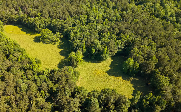 Pictures of Land property located at 29 Sontag-Nola Rd, Sontag, MS 39665 for sales - image #1