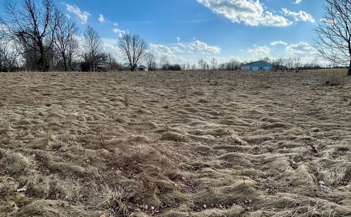 Pictures of Land property located at 10505 Indian Crk S Rd, Indianapolis, IN 46259 for sales - image #1