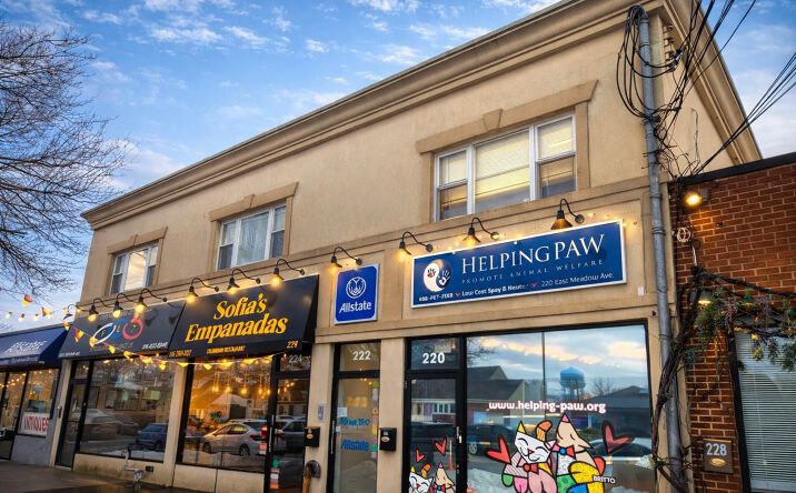 Pictures of Retail, Mixed Use property located at 220-226 East Meadow Avenue, Hempstead, NY 11554 for sales - image #1