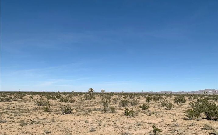Pictures of Land property located at Desoto, Adelanto, CA 92301 for sales - image #1