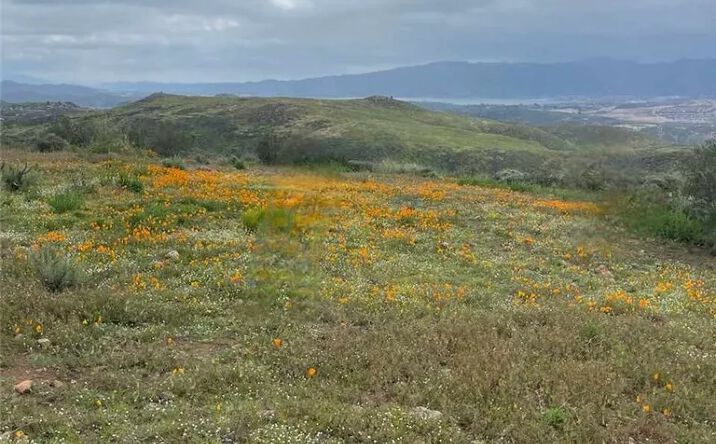 Pictures of Land property located at Hilltop, Perris, CA 92560 for sales - image #1