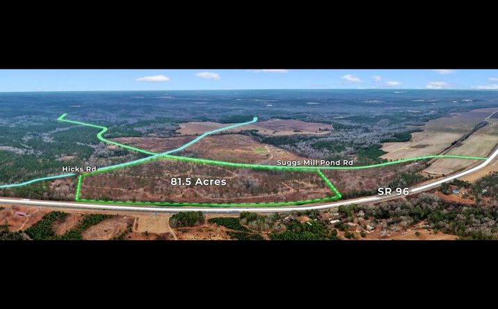 Pictures of Land property located at Suggs Mill Pond Rd, Reynolds, GA 31076 for sales - image #1