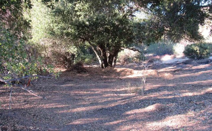 Pictures of Land property located at 2115 N Campo Truck Trail, Campo, CA 91906 for sales - image #1