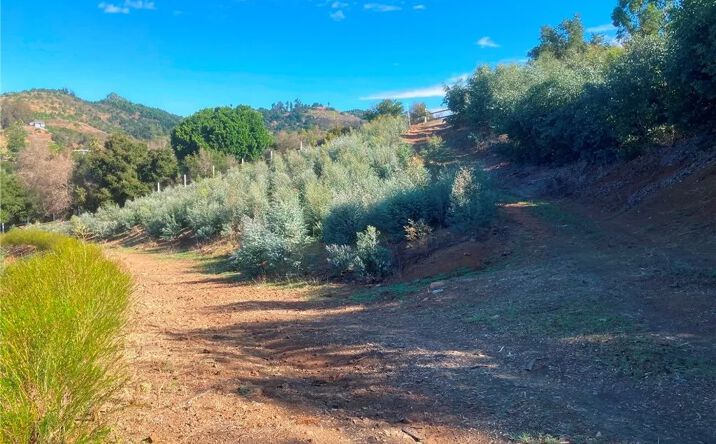 Pictures of Land property located at 16 Sandia Creek, Temecula, CA 92590 for sales - image #1