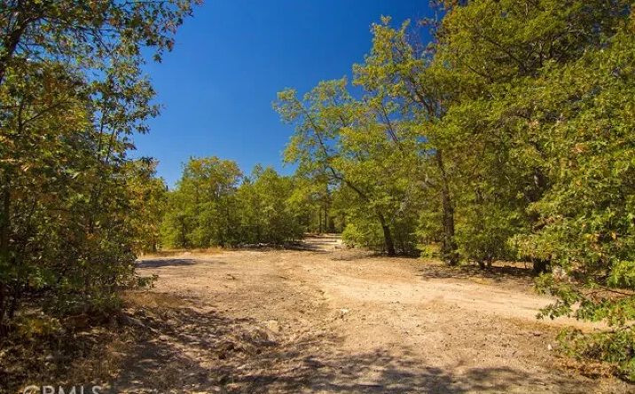 Pictures of Land property located at N Bay, Lake Arrowhead, CA 92352 for sales - image #1