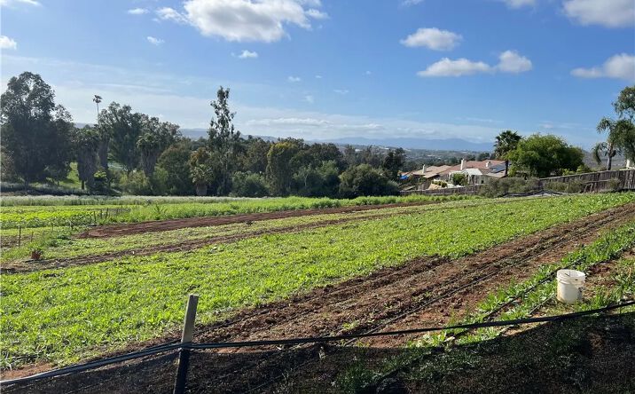 Pictures of Land property located at 2205 Bautista, Vista, CA 92084 for sales - image #1