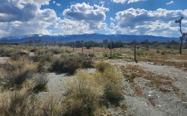 Pictures of Land property located at 2647 Minero, Pinon Hills, CA 92372 for sales - image #1