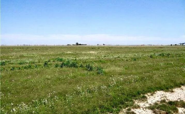 Pictures of Land property located at 1505 W. Baughman Unit 0, Westmorland, CA 92281 for sales - image #1