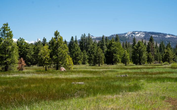 Pictures of Land property located at Delwood St, Westwood, CA 96137 for sales - image #1