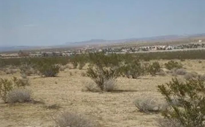 Pictures of Land property located at Morton, Barstow, CA 92311 for sales - image #1