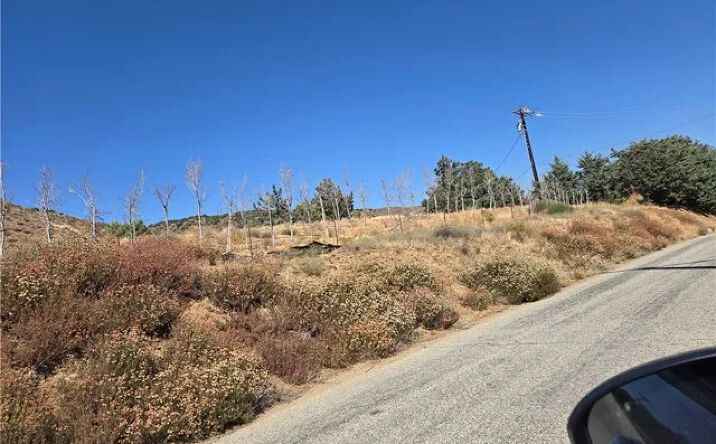 Pictures of Land property located at 9197 Northside, Leona Valley, CA 93551 for sales - image #1
