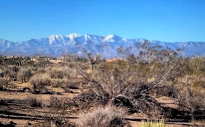 Pictures of Land property located at 8888888 Smoketree, Hesperia, CA 92344 for sales - image #1