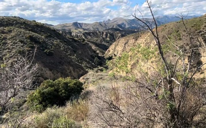 Pictures of Land property located at Burlwood, Castaic, CA 91384 for sales - image #1