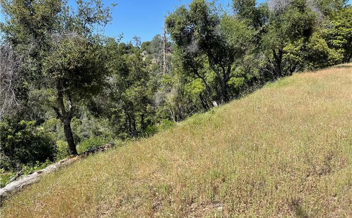 Pictures of Land property located at 54 Rd 416, Coarsegold, CA 93614 for sales - image #1