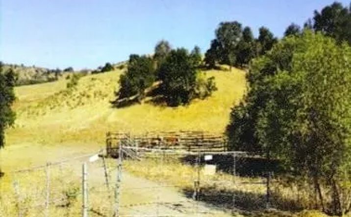 Pictures of Land property located at 0, Chino Hills, CA 91709 for sales - image #1
