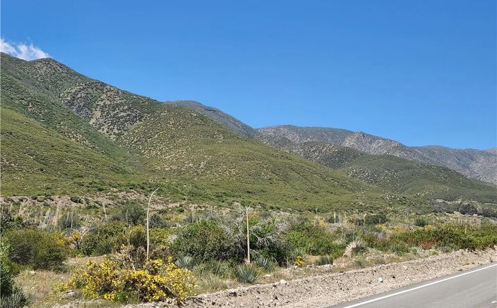 Pictures of Land, Special Purpose property located at 6201 Lone Pine Canyon, Wrightwood, CA 92397 for sales - image #1