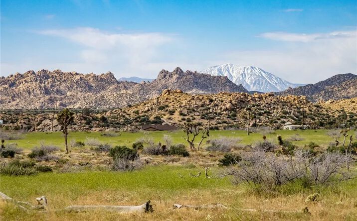 Pictures of Land property located at 52550 Geronimo, Pioneertown, CA 92268 for sales - image #1