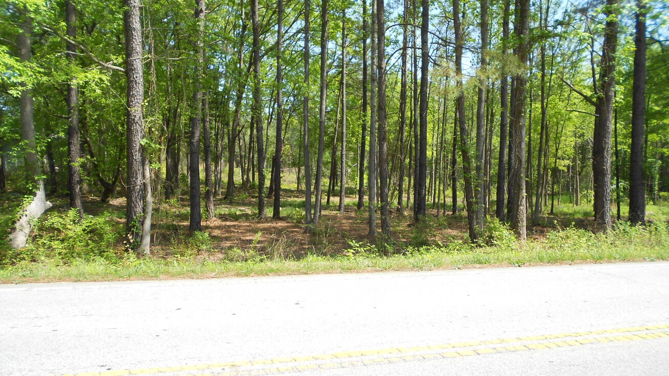 1 St. Peters Church Road, Chapin, SC 29036 Land for Sale Amick .94