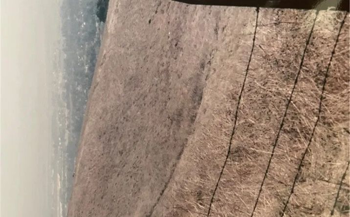 Pictures of Land property located at 1 Old Carbon Canyon, Chino Hills, CA 91709 for sales - image #1